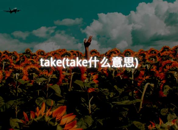 take(take什么意思)