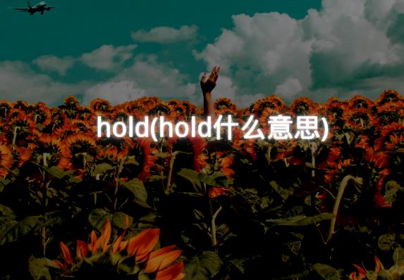 hold(hold什么意思)