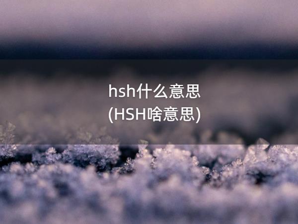 hsh什么意思(HSH啥意思)